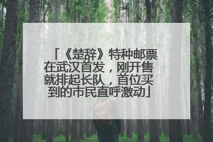 《楚辞》特种邮票在武汉首发，刚开售就排起长队，首位买到的市民直呼激动