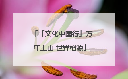 「文化中国行」万年上山 世界稻源
