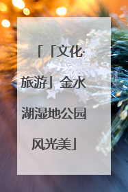 「文化·旅游」金水湖湿地公园风光美