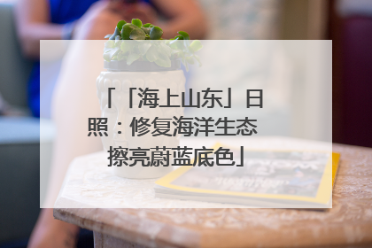 「海上山东」日照：修复海洋生态 擦亮蔚蓝底色