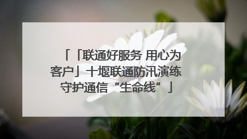 「联通好服务 用心为客户」十堰联通防汛演练守护通信“生命线”