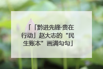 「黔进先锋·贵在行动」赵大志的“民生账本”画满勾勾