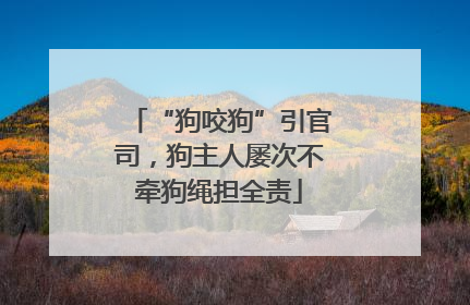 “狗咬狗”引官司，狗主人屡次不牵狗绳担全责