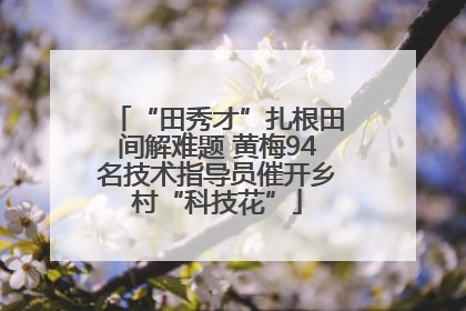 “田秀才”扎根田间解难题 黄梅94名技术指导员催开乡村“科技花”