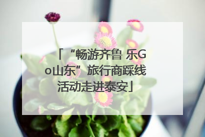 “畅游齐鲁 乐Go山东”旅行商踩线活动走进泰安