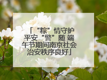 “粽”情守护 平安“警”随 端午节期间南京社会治安秩序良好