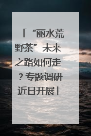 “丽水荒野茶”未来之路如何走？专题调研近日开展