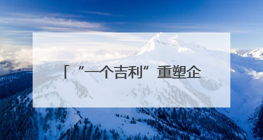 “一个吉利”重塑企业价值体系——记者独家对话吉利汽车控股有限公司行政总裁及执行董事桂生悦