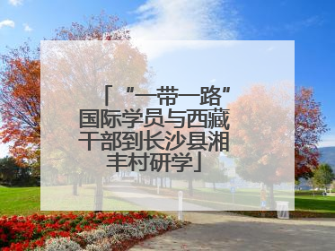 “一带一路”国际学员与西藏干部到长沙县湘丰村研学