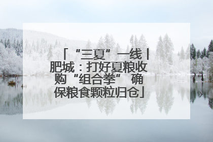 “三夏”一线丨肥城：打好夏粮收购“组合拳” 确保粮食颗粒归仓
