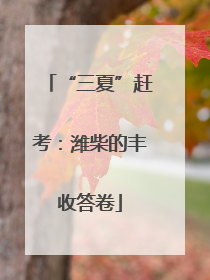“三夏”赶考：潍柴的丰收答卷