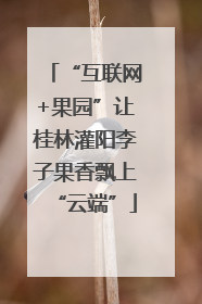 “互联网+果园”让桂林灌阳李子果香飘上“云端”