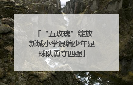 “五玫瑰”绽放 新城小学混编少年足球队勇夺四强