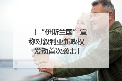 “伊斯兰国”宣称对叙利亚新政权发动首次袭击