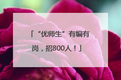 “优师生”有编有岗，招800人！