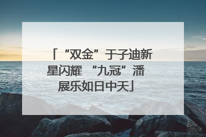 “双金”于子迪新星闪耀 “九冠”潘展乐如日中天