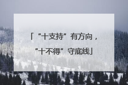 “十支持”有方向，“十不得”守底线