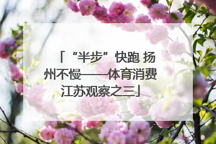 “半步”快跑 扬州不慢——体育消费江苏观察之三
