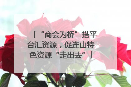 “商会为桥”搭平台汇资源，促连山特色资源“走出去”