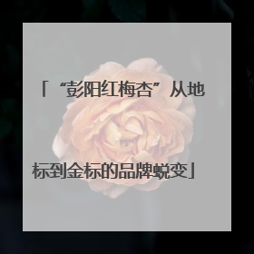 “彭阳红梅杏”从地标到金标的品牌蜕变