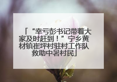 “幸亏彭书记带着大家及时赶到！”宁乡黄材镇崔坪村驻村工作队救助中暑村民