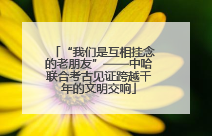 “我们是互相挂念的老朋友”——中哈联合考古见证跨越千年的文明交响