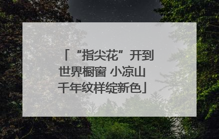 “指尖花”开到世界橱窗 小凉山千年纹样绽新色