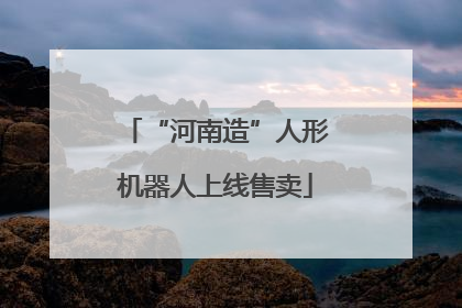“河南造”人形机器人上线售卖