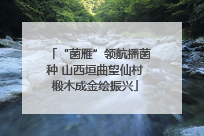 “菌雁”领航播菌种 山西垣曲望仙村椴木成金绘振兴