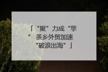 “聚”力成“擎” 茶乡外贸加速“破浪出海”