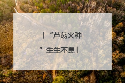 “芦荡火种”生生不息