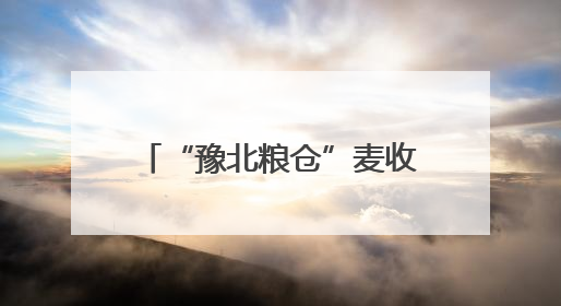 “豫北粮仓”麦收跑出“加速度”