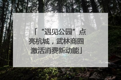 “遇见公园”点亮杭城，武林商圈激活消费新动能