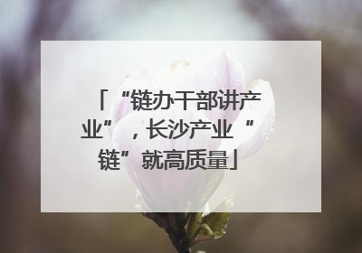 “链办干部讲产业”，长沙产业“链”就高质量