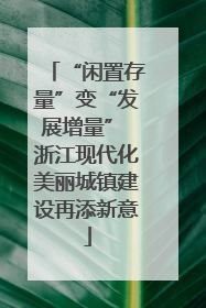 “闲置存量”变“发展增量” 浙江现代化美丽城镇建设再添新意