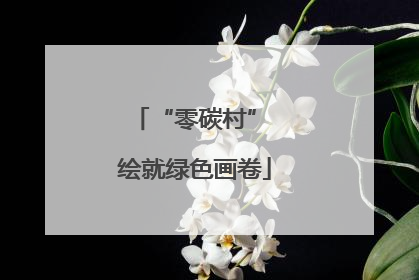 “零碳村” 绘就绿色画卷
