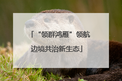 “领群鸿雁”领航边境共治新生态