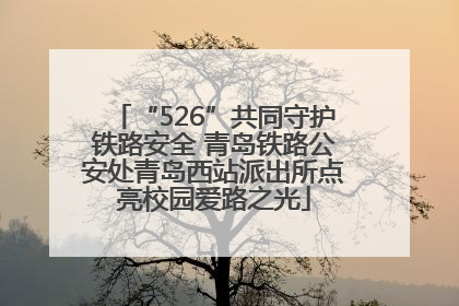“526”共同守护铁路安全 青岛铁路公安处青岛西站派出所点亮校园爱路之光