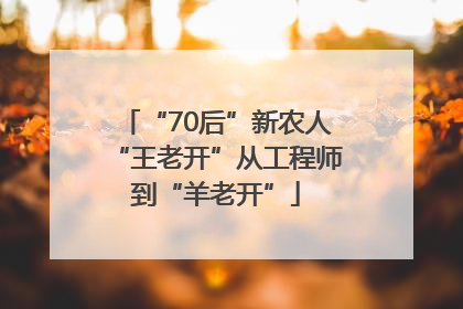 “70后”新农人“王老开”从工程师到“羊老开”