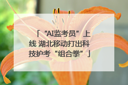 “AI监考员”上线 湖北移动打出科技护考“组合拳”