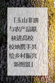 玉山非遗与农产品联袂进高校 校地携手共绘乡村振兴新图景