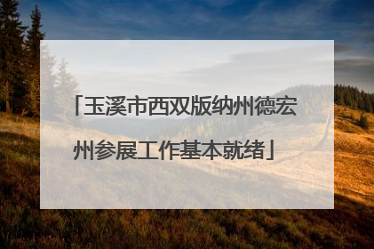 玉溪市西双版纳州德宏州参展工作基本就绪