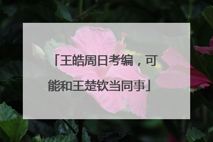王皓周日考编，可能和王楚钦当同事