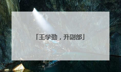 王学勤，升副部