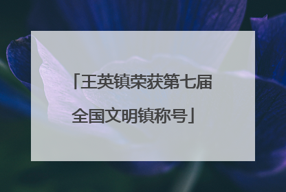王英镇荣获第七届全国文明镇称号