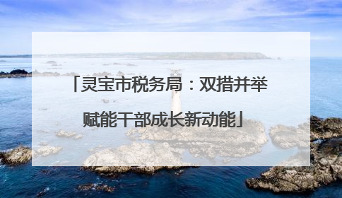 灵宝市税务局：双措并举 赋能干部成长新动能