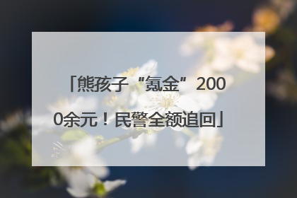 熊孩子“氪金”2000余元！民警全额追回