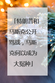 特朗普和马斯克公开骂战，马斯克何以成为大冤种