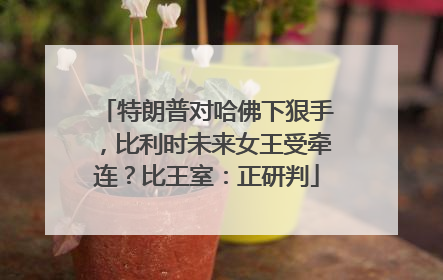 特朗普对哈佛下狠手，比利时未来女王受牵连？比王室：正研判