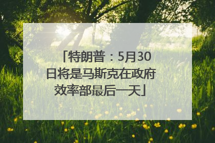 特朗普：5月30日将是马斯克在政府效率部最后一天